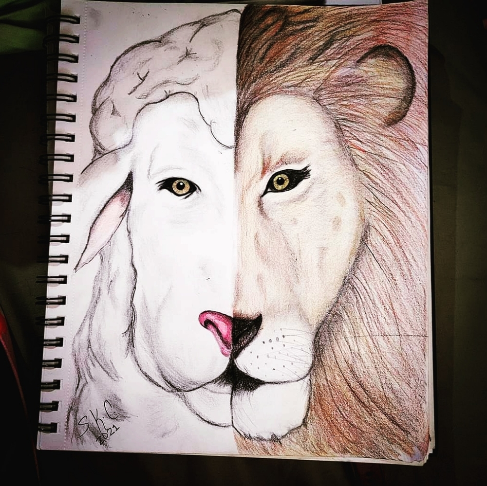 Artwork by Stephanie Kaye